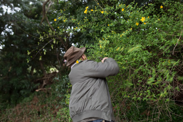 対談当日の花摘みの際のスナップ