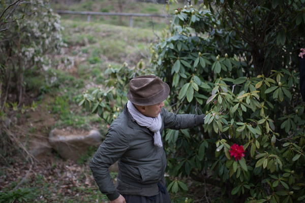 対談当日の花摘みの際のスナップ