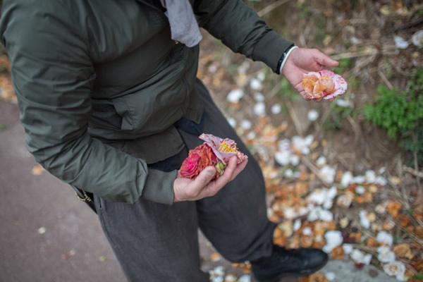 対談当日の花摘みの際のスナップ