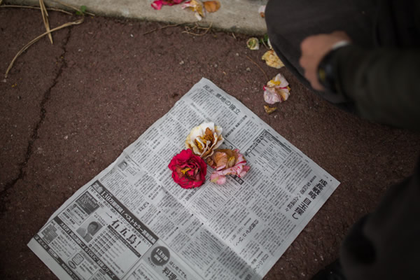 対談当日の花摘みの際のスナップ