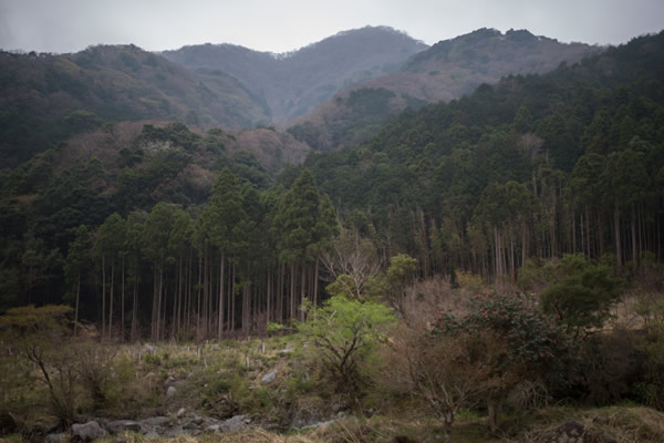 対談当日の花摘みの際のスナップ