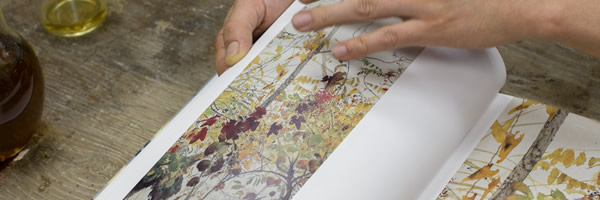 イメージ:田中一村 新たなる全貌